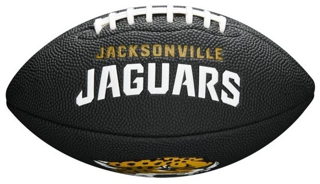 Wilson F1533XB Black Edition NFL Mini