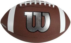 Wilson WTF1729XB NFL Legend