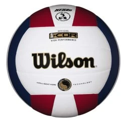 Wilson I-Cor Hi Performance Indoor Ball (WTH7700XR)